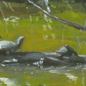 Turtle painting