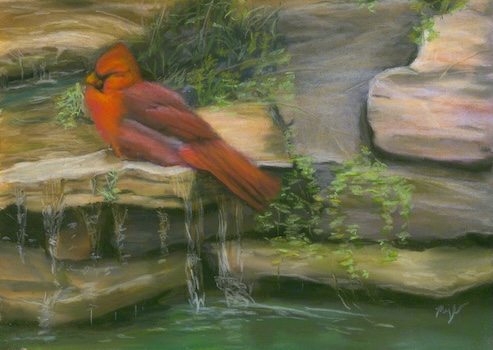 A pastel painting of a bright red male cardinal bathing on the edge of a small waterfall.