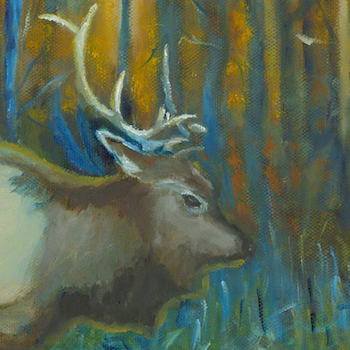 Elk painting