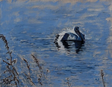 Pelican painting