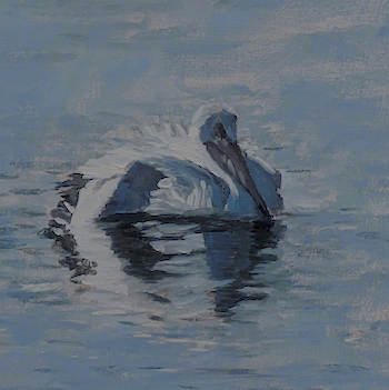 Pelican painting