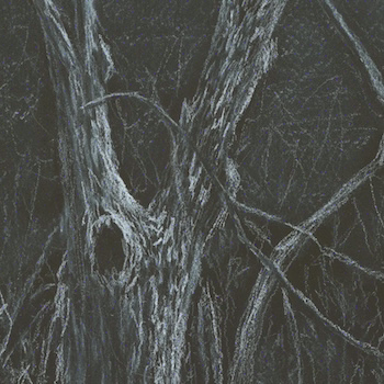 Backbones painting